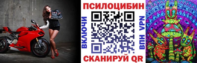 Галлюциногенные грибы Magic Shrooms  Сланцы 